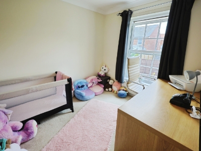 Picture 15